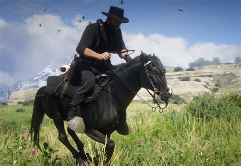 Yes, it has a lot of health and stamina, but is still pretty slow. . Best horse in rdr2 online